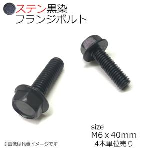 SUS 六角フランジボルト 黒色 M6x40mm 4本入