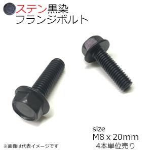 SUS 六角フランジボルト 黒色 M8x20mm 4本入