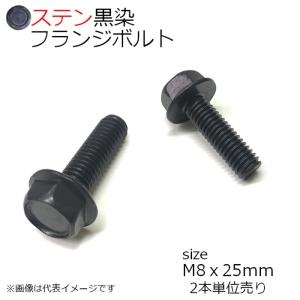 SUS 六角フランジボルト 黒色 M8x25mm 2本入
