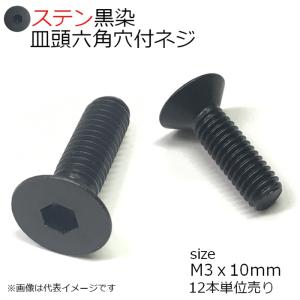 SUS 皿頭六角穴付ネジ 黒　M3x10mm　12個入