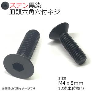 SUS 皿頭六角穴付ネジ黒 M4x8mm 12個入
