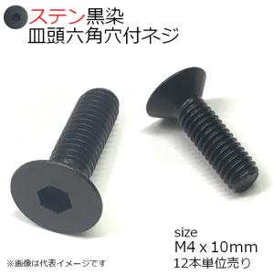 SUS 皿頭六角穴付ネジ 黒　M4x10mm　12個入