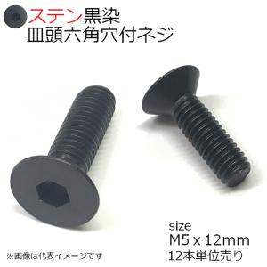 SUS 皿頭六角穴付ネジ 黒　M5x12mm　12個入