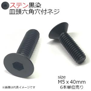 SUS 皿頭六角穴付ネジ 黒　M5x40mm　6個入