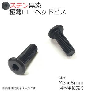SUS 極薄ローヘッドビス 黒　M3x8ｍｍ　4本入