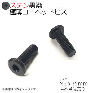 SUS 極薄ローヘッドビス 黒 M6x35ｍｍ　4本入