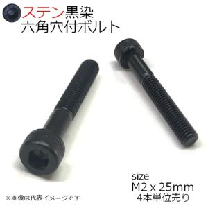 SUS 六角穴付きボルト 黒色　M2x25mm 4本入 半ネジ