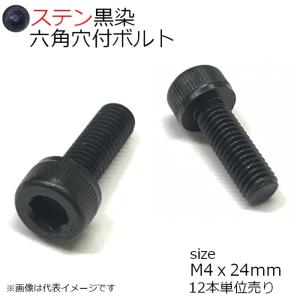 SUS 六角穴付きボルト 黒色　M4x24mm 12本入 全ネジ