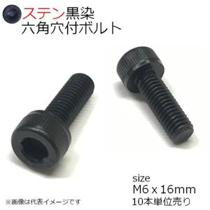 SUS 六角穴付きボルト 黒色　M6x16mm 10本入 全ネジ