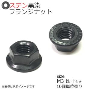 SUS フランジナット 黒色 M3 セレート付 10個入り