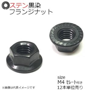 SUS フランジナット 黒色 M4 セレート付 12個入り