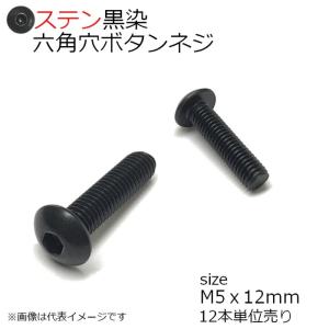 SUS 六角穴付ボタンネジ 黒色 M5x12mm 12本入 全ネジ