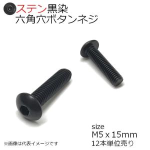 SUS 六角穴付ボタンネジ 黒色 M5x15mm 12本入 全ネジ
