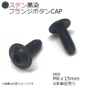 SUS フランジボタンCAP 黒色 M6x15mm 6本入 全ネジ