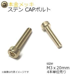 SUS CAPボルト 本金メッキ M3x20mm 4本入 全ネジ
