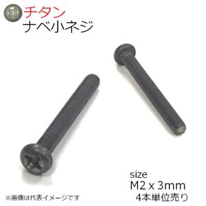 純チタン ナベ頭小ネジ M2x3mm 4本入り