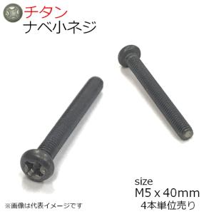 純チタン ナベ頭小ネジ M5x40mm 4本入