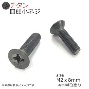 純チタン 皿頭小ネジ M2x8mm 4本入り