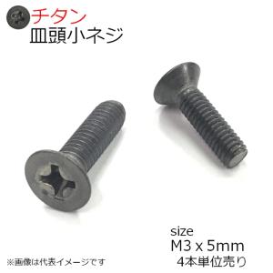 純チタン 皿頭小ネジ M3x5mm 4本入り