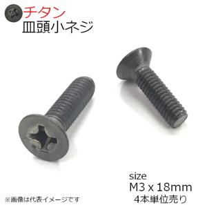 純チタン 皿頭小ネジ M3x18mm 4本入り