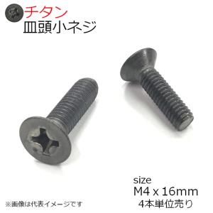 純チタン 皿頭小ネジ M4x16mm 4本入り