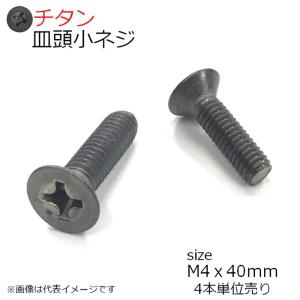 純チタン 皿頭小ネジ M4x40mm 4本入り