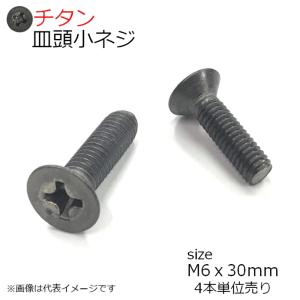 純チタン 皿頭小ネジ M6x30mm 4本入り
