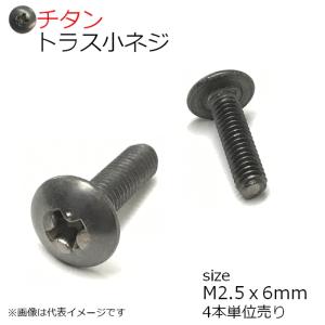 純チタン トラス頭小ネジ M2.5x6mm 4本入