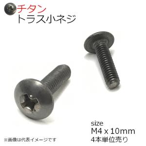 純チタン トラス頭小ネジ M4x10mm 4本入