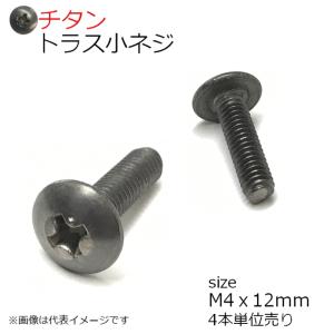 純チタン トラス頭小ネジ M4x12mm 4本入