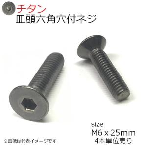 純チタン 皿頭六角穴付きネジ　M6x25mm　4個入