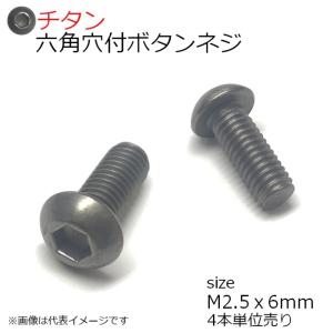 純チタン 六角穴付きボタンネジ M2.5x6mm 4本入　全ネジ