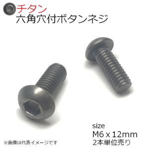 純チタン 六角穴付きボタンネジ M6x12mm 2本入　全ネジ