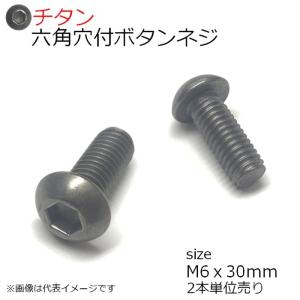 純チタン 六角穴付きボタンネジ M6x30mm 2本入　全ネジ