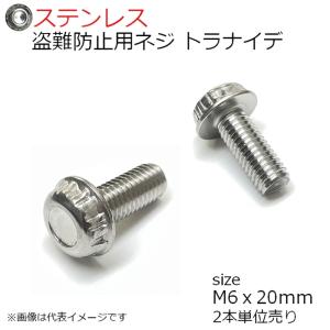 SUS トラナイデ M6x20ｍｍ 2本入り 盗難防止用ネジ