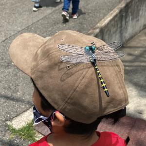 【日本正規品】おにやんま君(安全ピンタイプ )...の詳細画像2