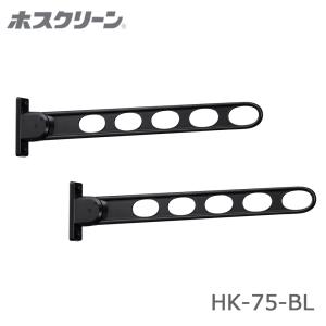 川口技研 ホスクリーン HK-75-BL ブラック 窓壁用 2本入り 木下地用取付パーツ付 屋根 バルコニー 物干金物 屋外 ベランダ  yrh5｜kanaonisky