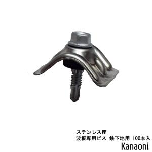 鉄下地用 波板専用ビス 小波 ステン座 100本入り 5x25 ドリルねじタイプ