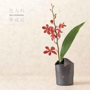 茶道具 花入 置用 信楽焼 耳付 上田光春作 古来窯 置き花入 置花入