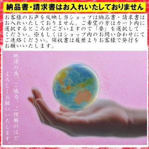 薄皮付き 落花生 700g 無添加・塩不使用 ...の詳細画像5