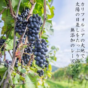 レーズン 無添加・ノンオイル 業務用サイズ 1...の詳細画像1
