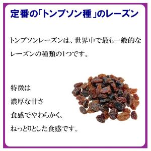 レーズン 無添加・ノンオイル 業務用サイズ 1...の詳細画像2