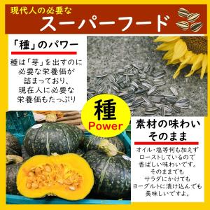 2種類のミックスシード 500g 素焼きのかぼ...の詳細画像2