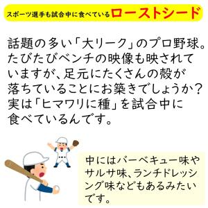 2種類のミックスシード 500g 素焼きのかぼ...の詳細画像3