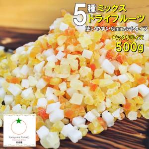 5種ミックスドライフルーツ 人気の500g　パイン、マンゴ、ココナッツ、メロン、パパイヤの5種類 トッピングに最適5mmカット ポイント利用