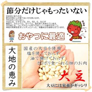 北海道産 素焼き 黒大豆500g 無添加・ノン...の詳細画像3