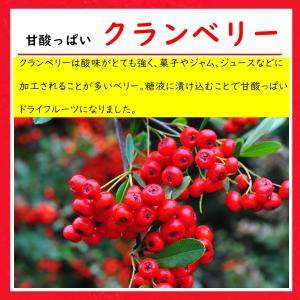 ドライ クランベリー 甘酸っぱさがくせになる美...の詳細画像2