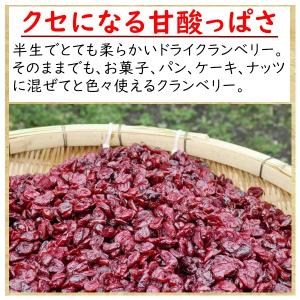 ドライ クランベリー 甘酸っぱさがくせになる美...の詳細画像3