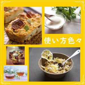 ドライいちじく 人気サイズ 500g 無添加・...の詳細画像4