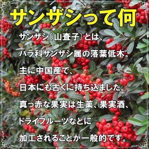 サンザシ たっぷりサイズ 500g 何とも言え...の詳細画像1